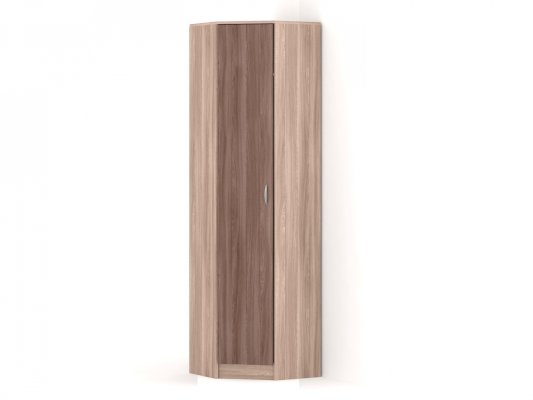 Шкаф распашной угловой 1 дверь с кронштейном 360 Горизонт (Баронс)